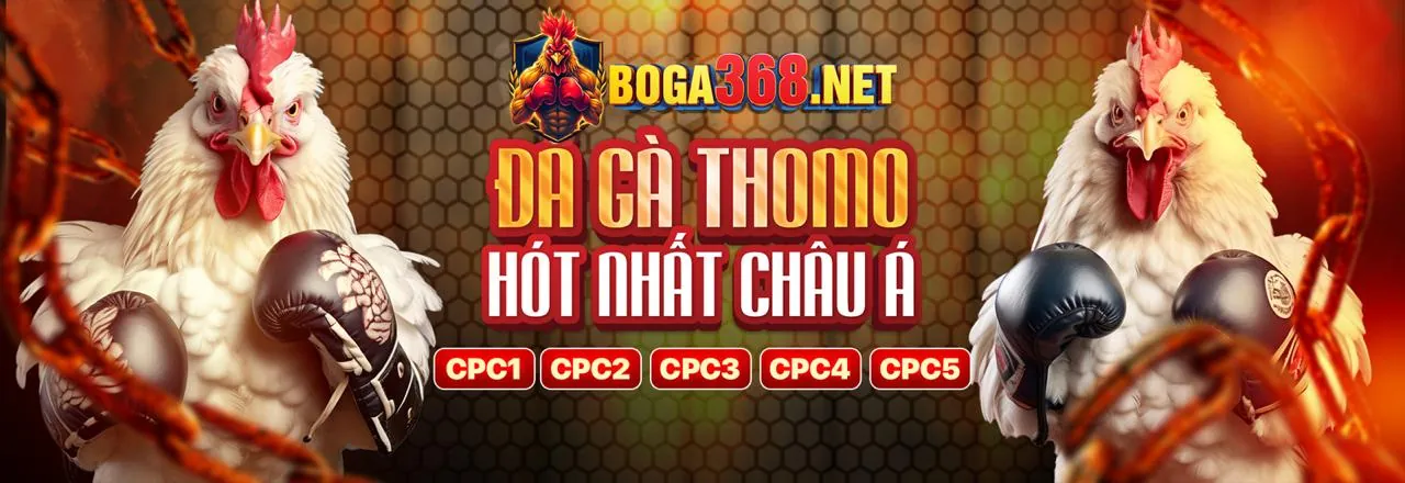 Hình ảnh chính giới thiệu fu 88
