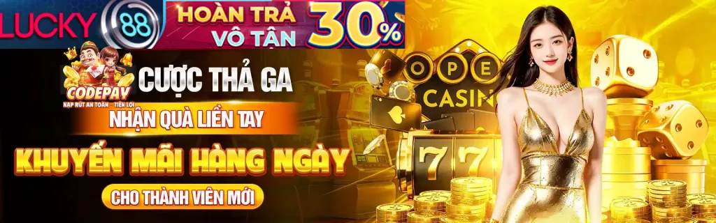 Trách nhiệm và nghĩa vụ của người chơi fu 88
